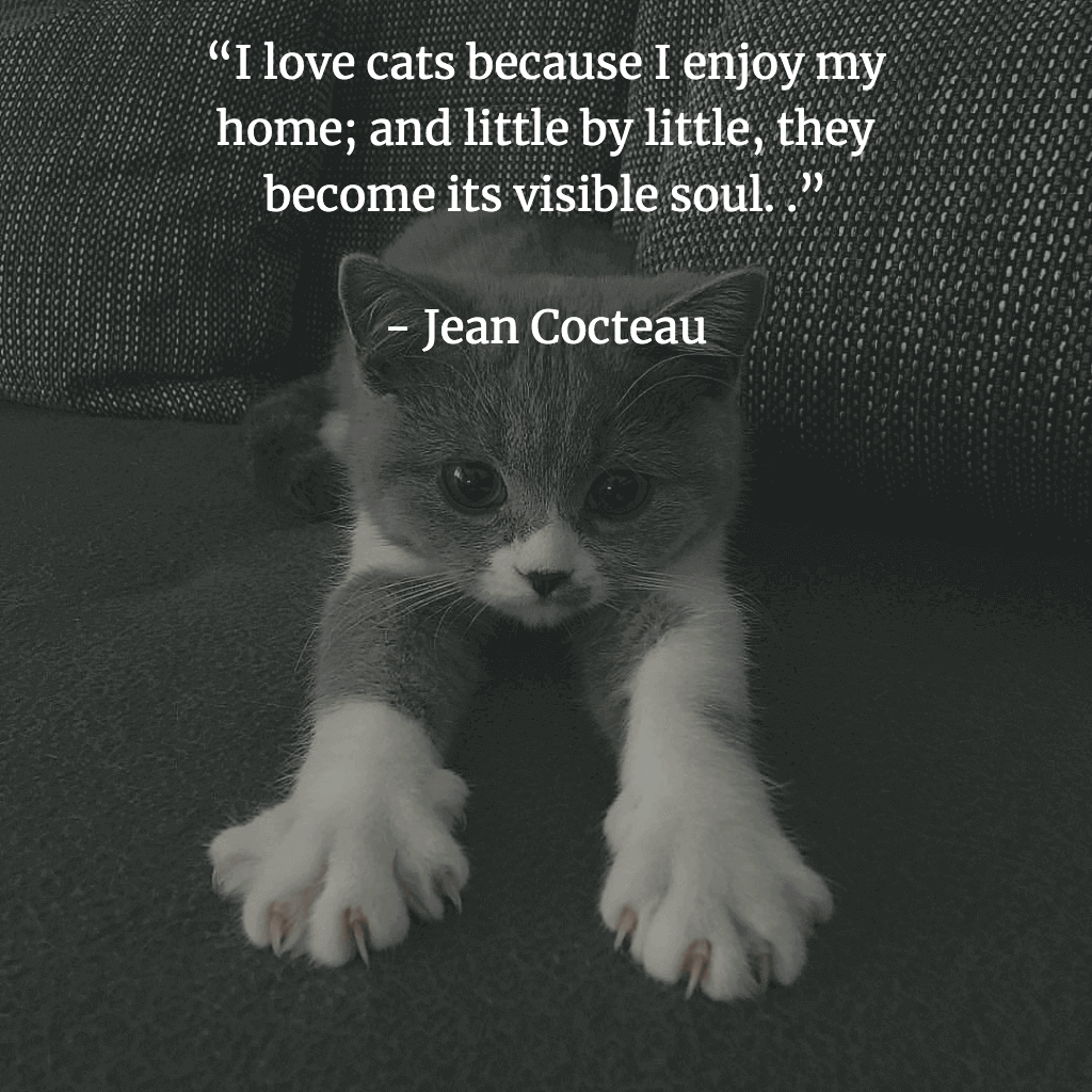 I love cats because I enjoy my home; and little by little, they become its visible soul.