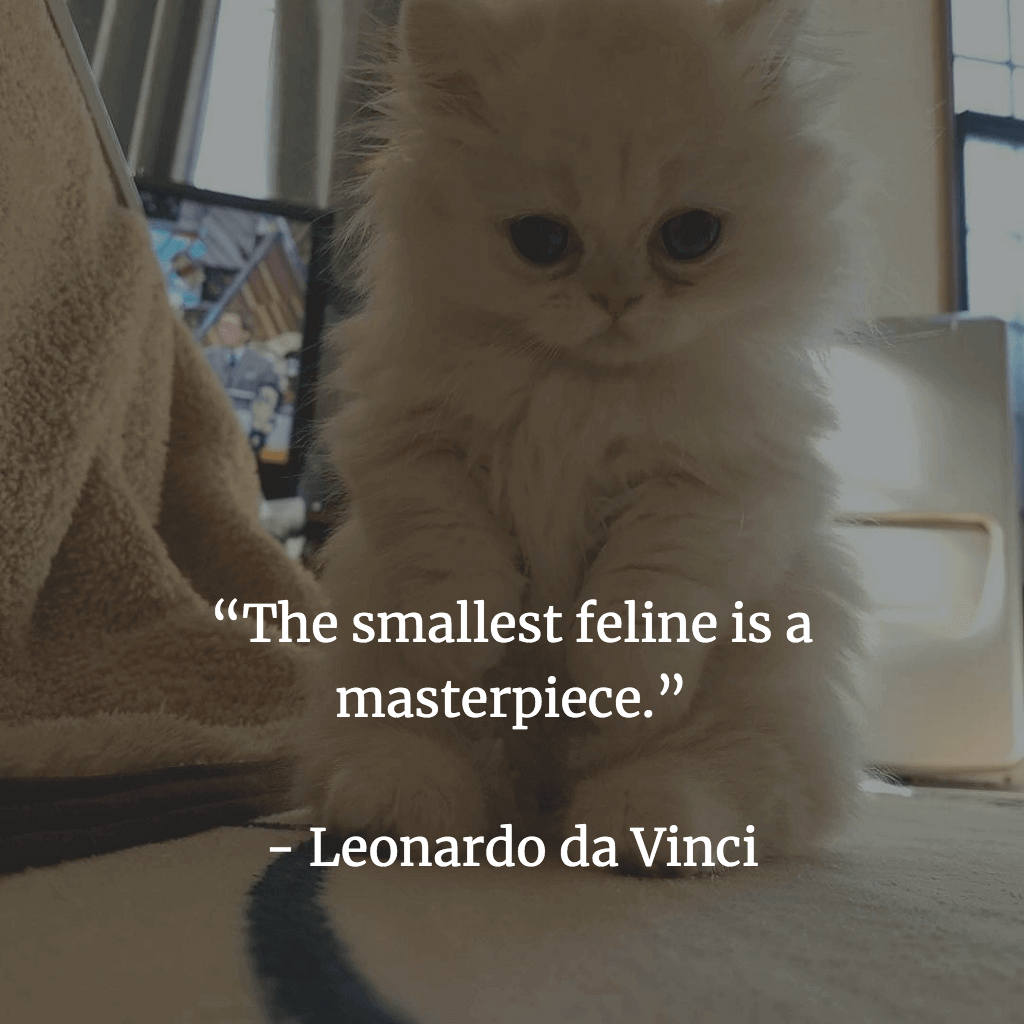 The smallest feline is a masterpiece.