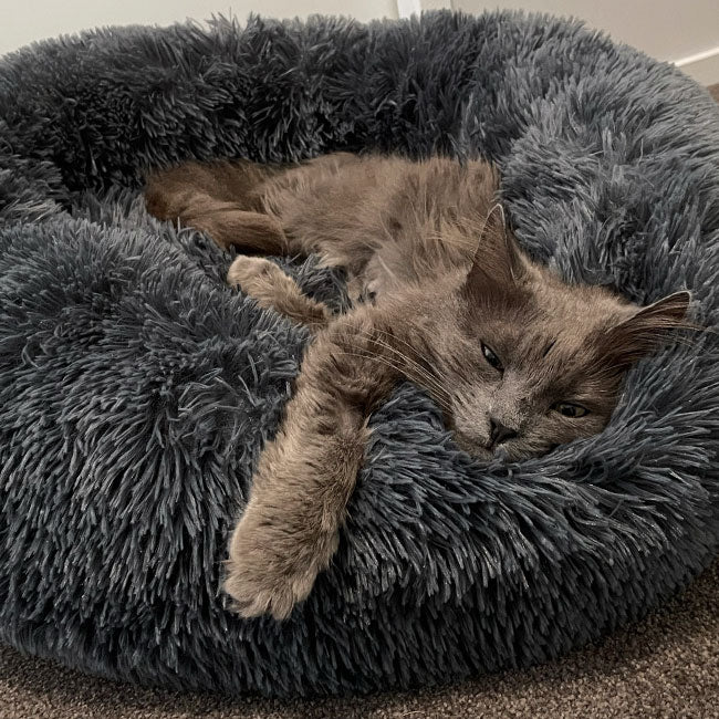 cat soft bedding