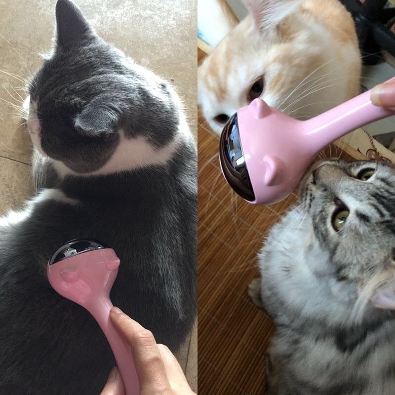 Brush Your Cat